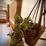 Il Vecchio Cortile Apartment *