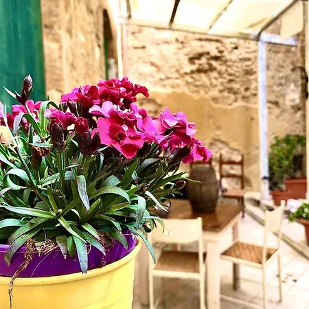 Il Vecchio Cortile Apartment *
