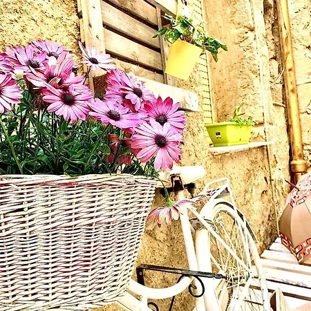 Il Vecchio Cortile