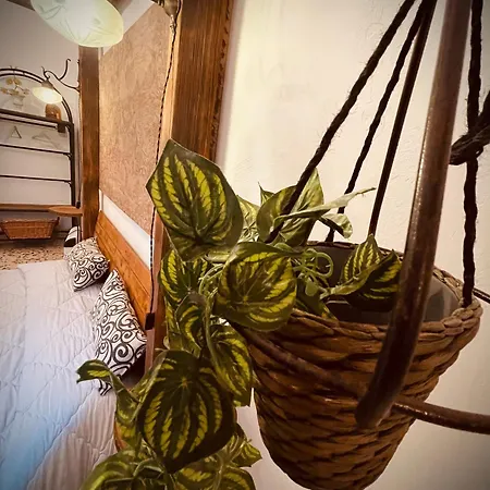 Il Vecchio Cortile Appartement *