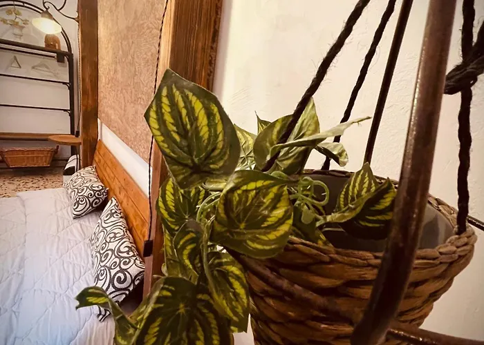 Il Vecchio Cortile Appartement *